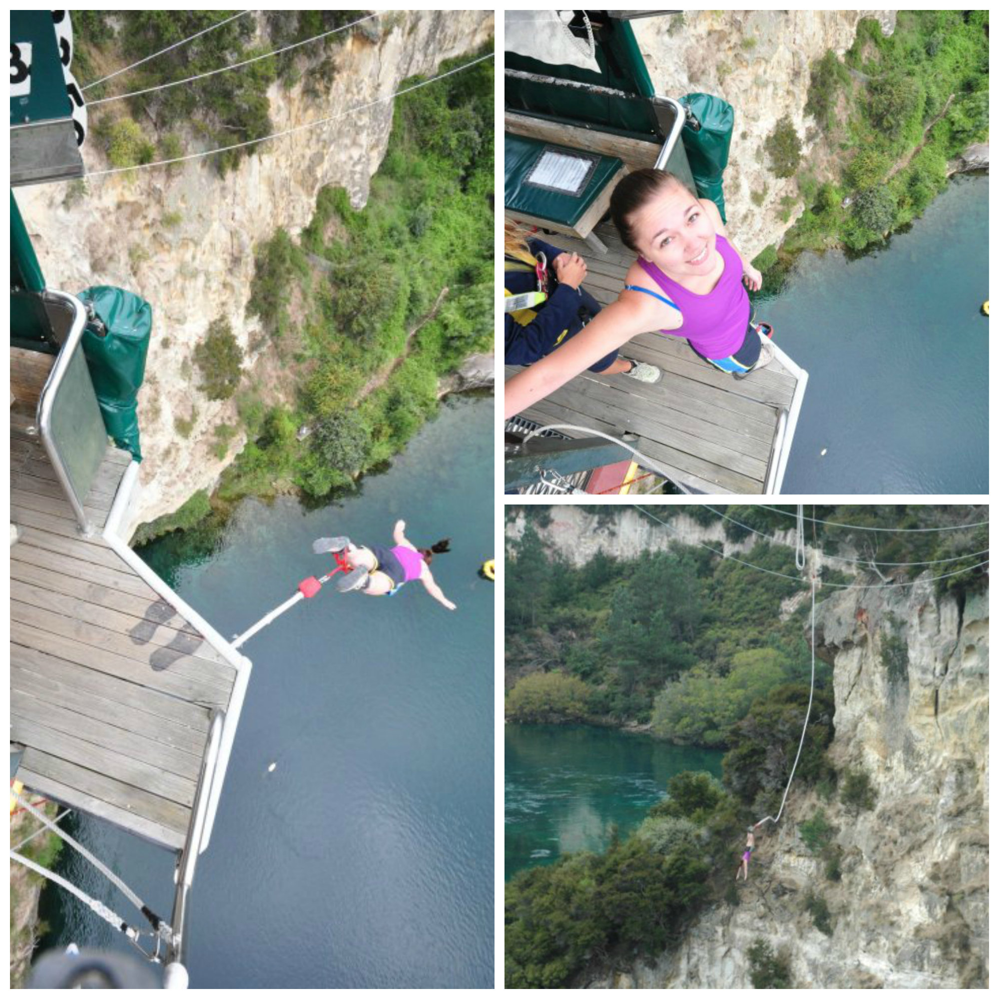 bungee collage