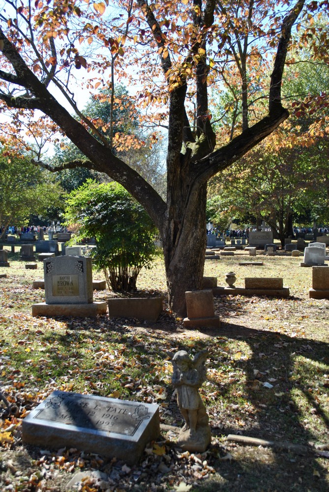 Maple Hill Cemetery Stroll- Katie Actually