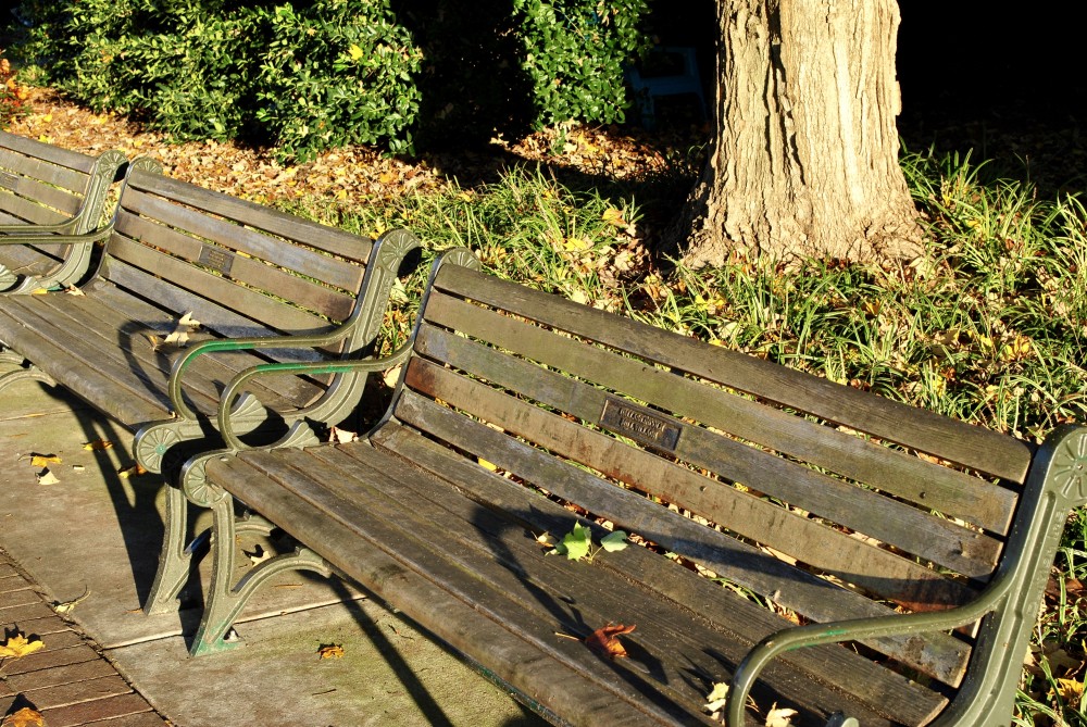 Fall in HSV benches