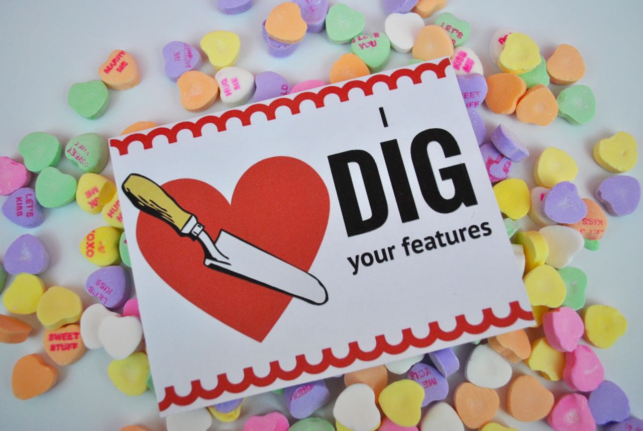 Printable Valentine's Day Cards- I dig your features- Katie Actually