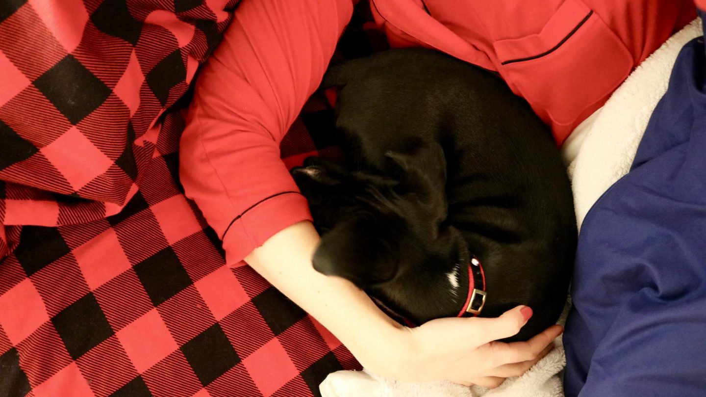 Katie cuddling Luna the puppy