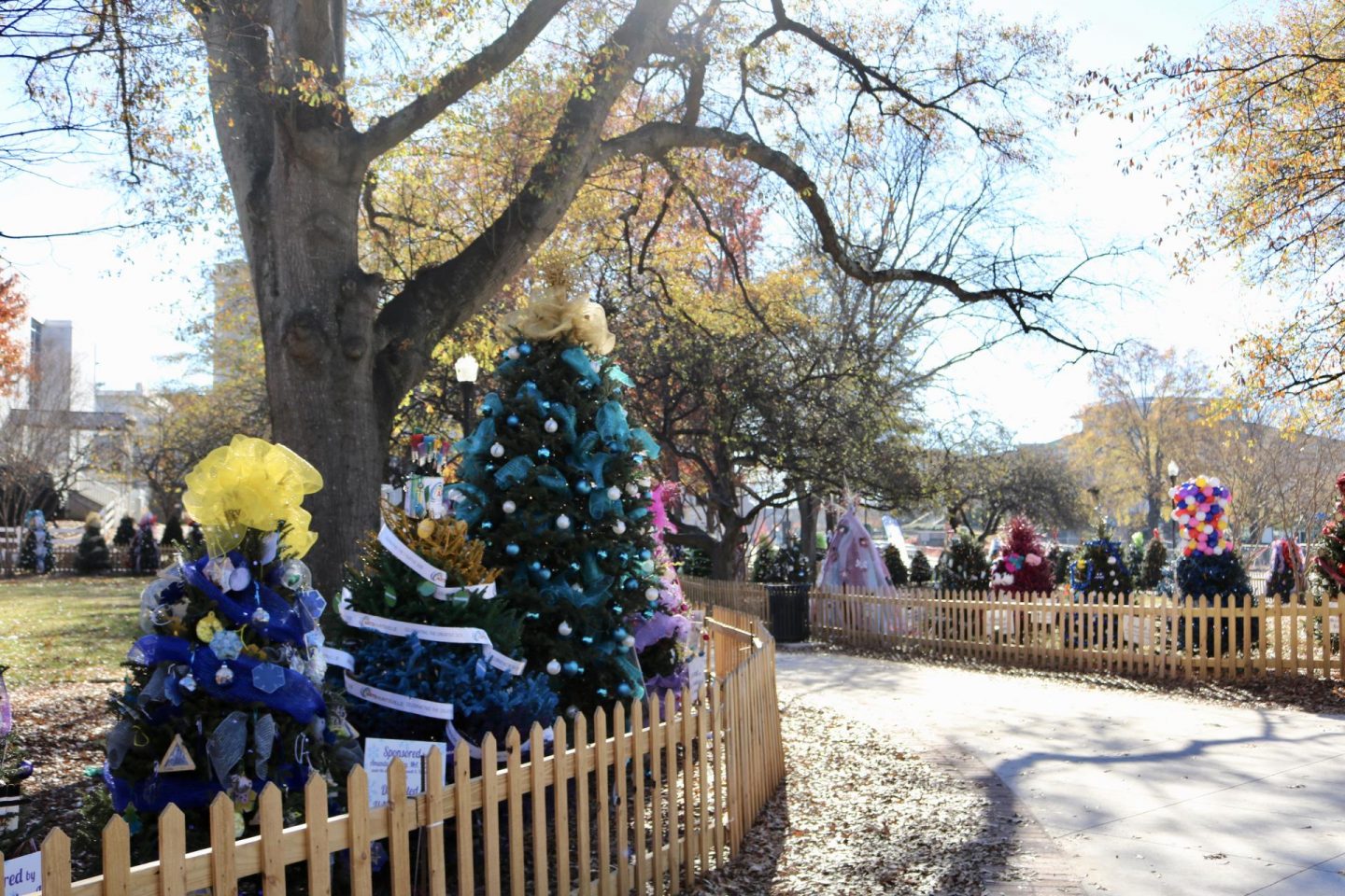 Lots of decorated Christmas trees in a row