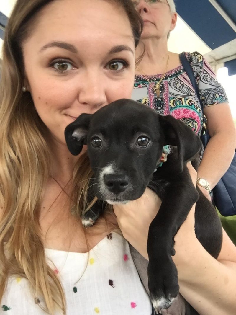 Puppy Birthday Party! Celebrating Luna with Cake Batter Puppy Chow | Katie Actually