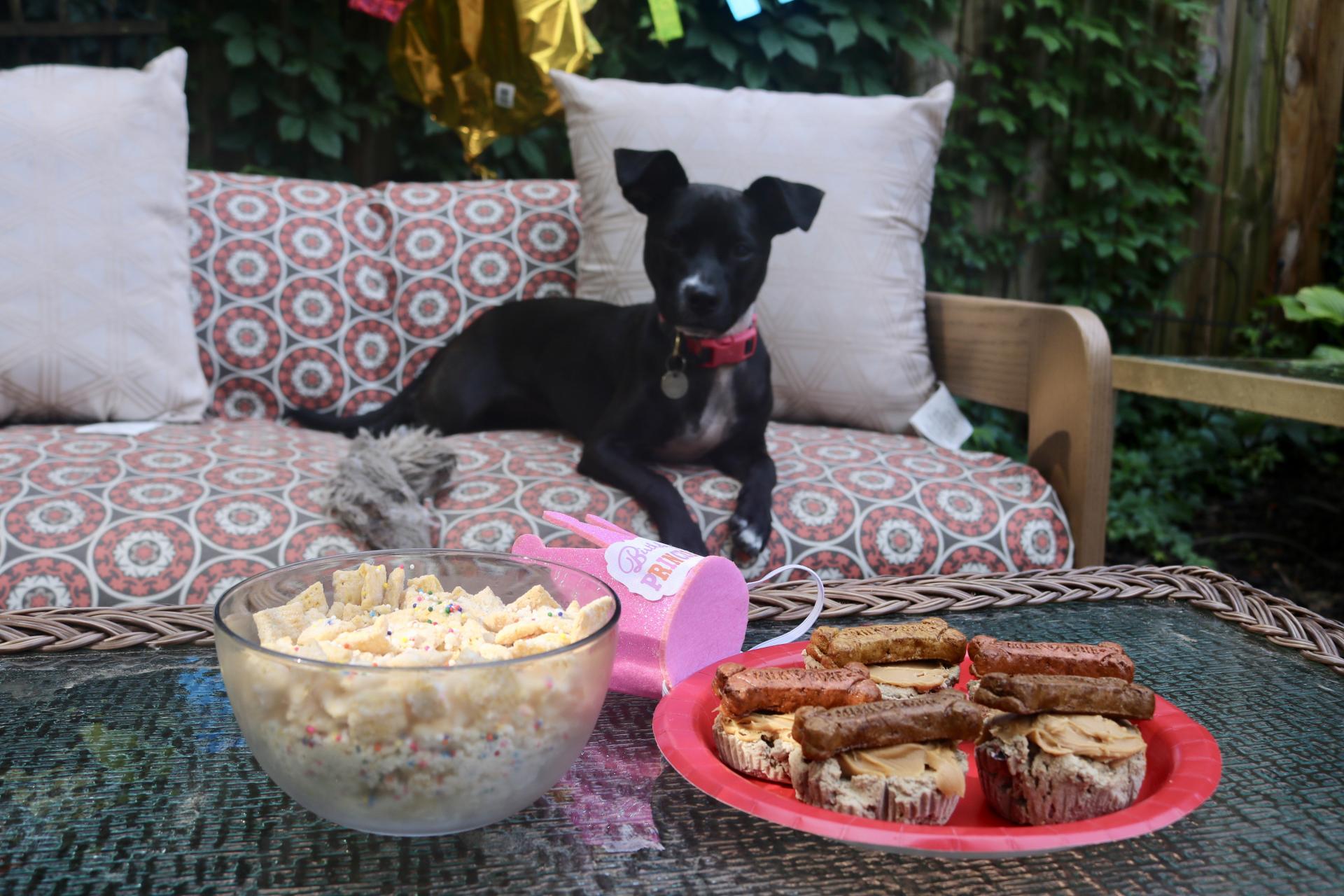 Puppy Birthday Party! Celebrating Luna with Cake Batter Puppy Chow | Katie Actually