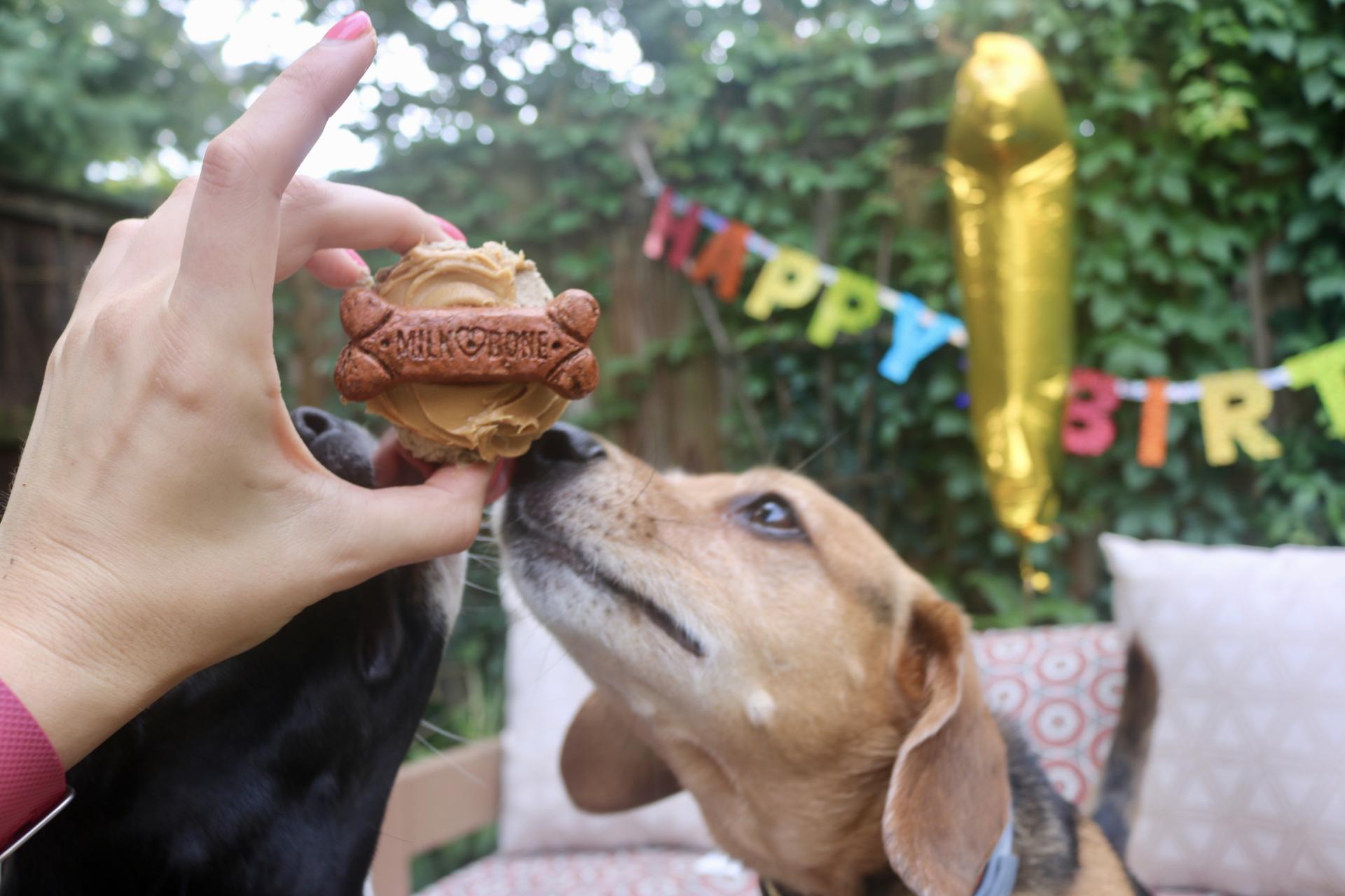 Puppy Birthday Party! Celebrating Luna with Cake Batter Puppy Chow | Katie Actually