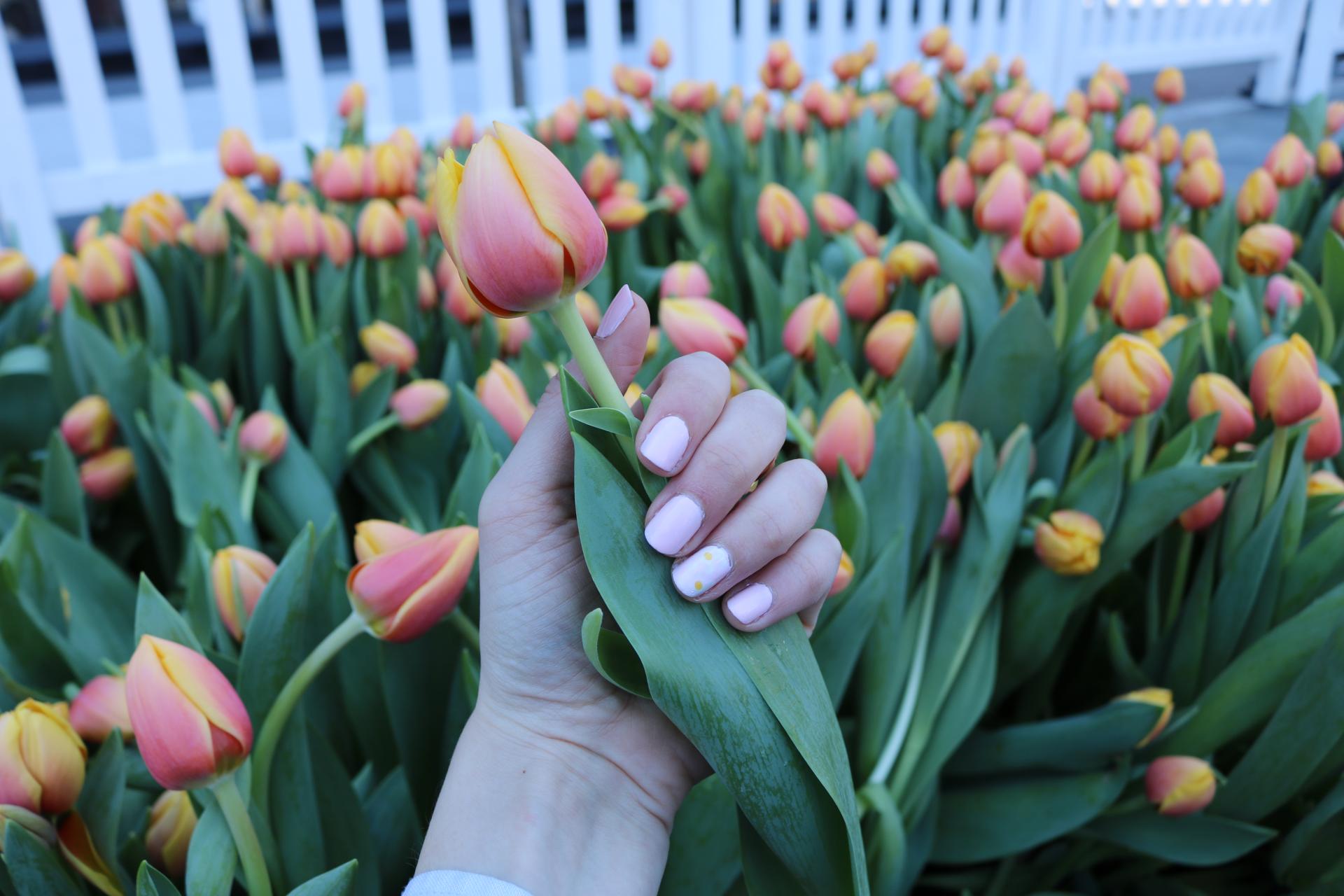 Subtle Daisy Spring Nails | Katie Actually