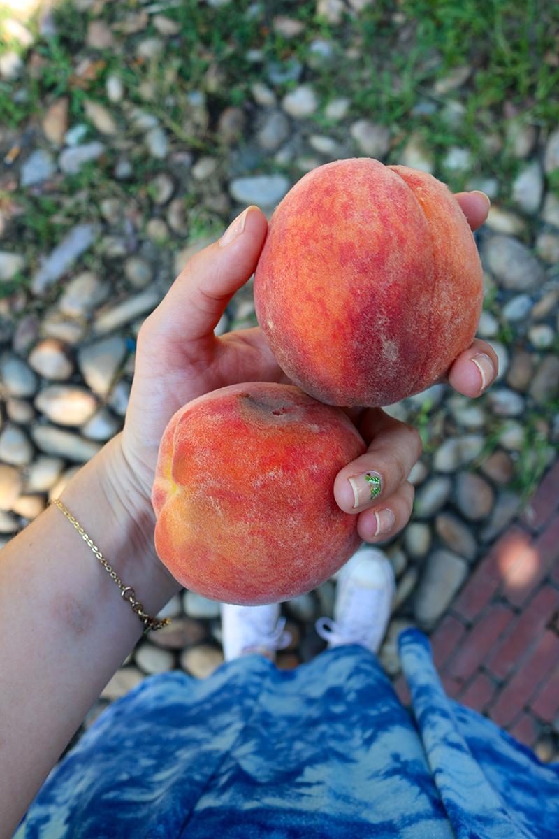 Peachy Keen in Old Town Alexandria | Katie Actually | Summer in Old Town