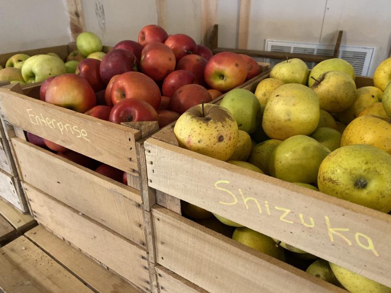 The Bluemont Golden Triangle: Henway Hard Cider | Katie Actually