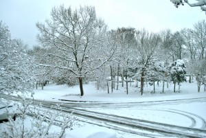 Snowy Huntsville