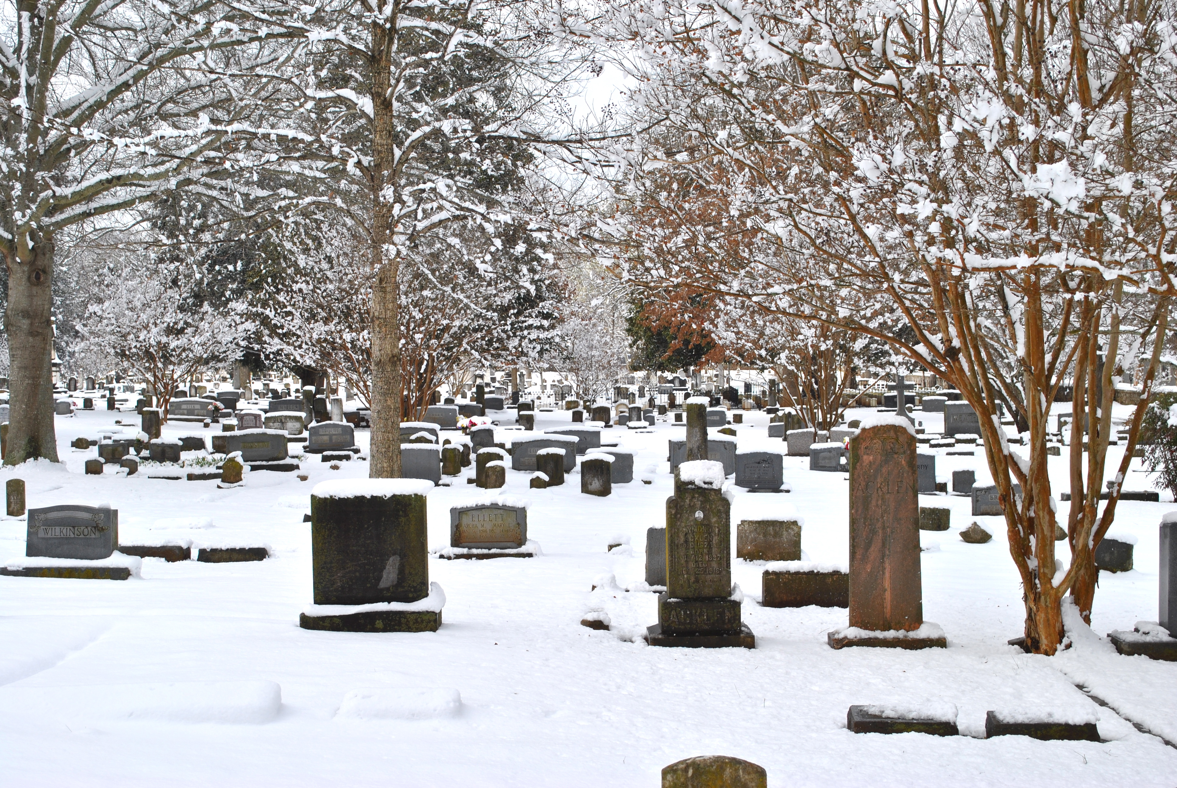 Maple Hill in the snow