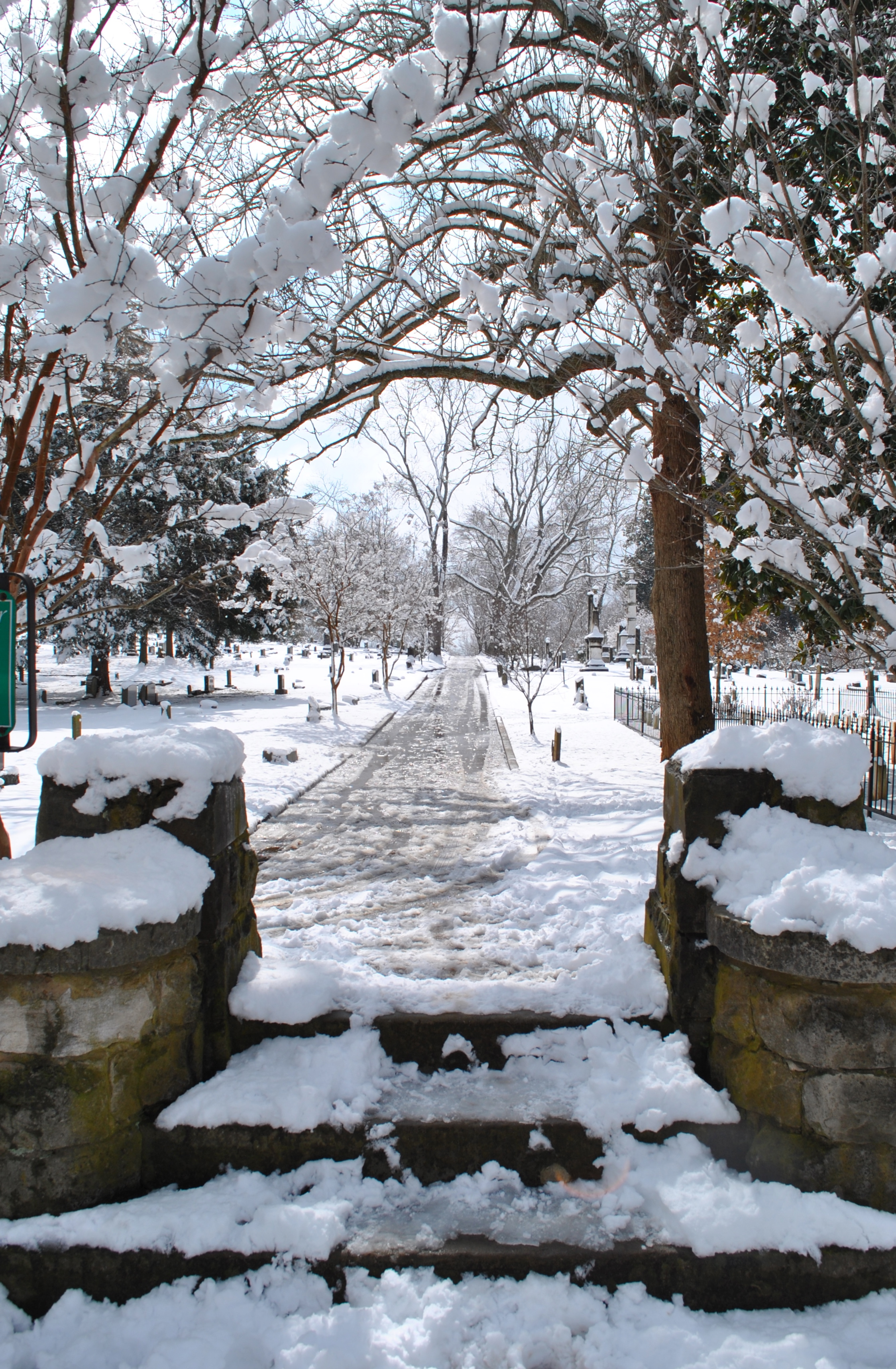 Maple Hill Gate