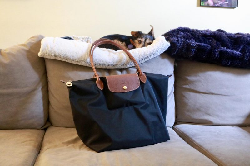 What's In My Work Bag: Longchamp Le Pliage | Katie Actually